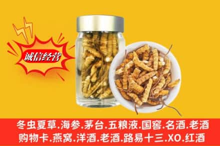 赣县区回收散虫草