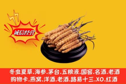 赣县区求购回收虫草多少钱每克